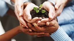 在线呼叫网页版软件